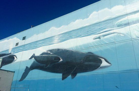 Whaling Wall